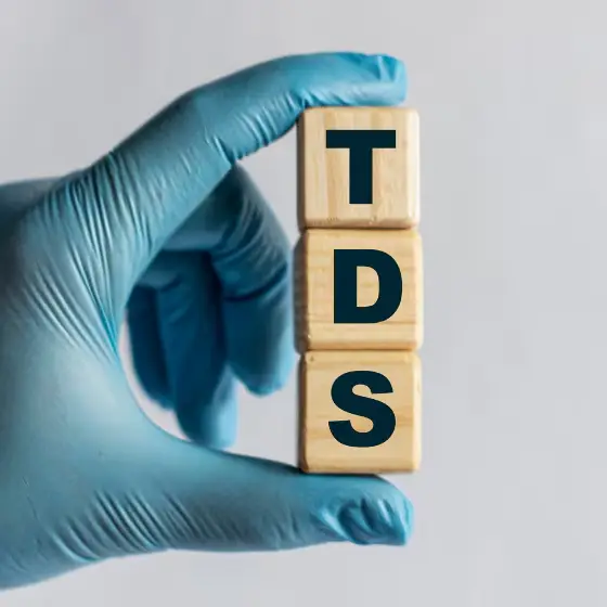 TDS Filing
