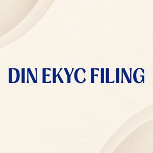 DIN eKYC Filing