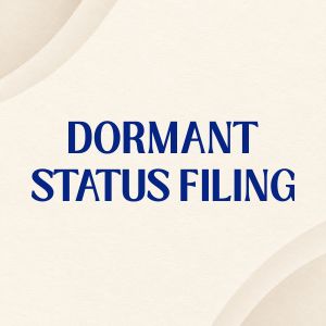 Dormant Status Filing