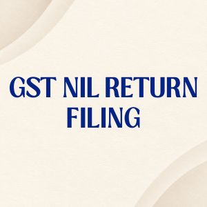 GST NIL Return Filing