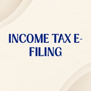 Income Tax E-Filing