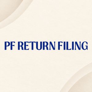 PF Return Filing