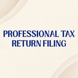 Professional Tax Return Filing