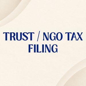 Trust / NGO Tax Filing